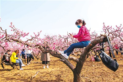 欧亚体育一些道德失范现象引发全社会广泛关注和讨论 “公民道德不是写在纸上挂在墙上的”(图1)