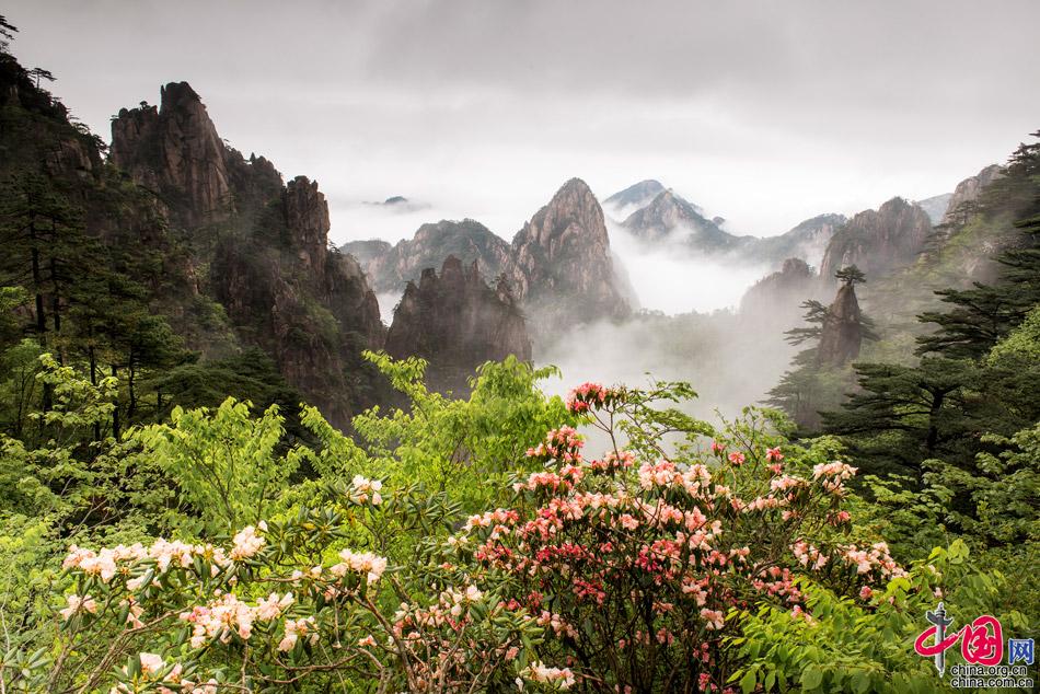 欧亚体育五一旅游推荐：黄山摄影师撰写的旅游攻略(图)(图1)