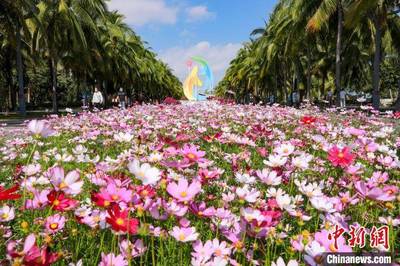 欧亚体育春节海南旅游攻略及花费春节海南旅游价格(图1)