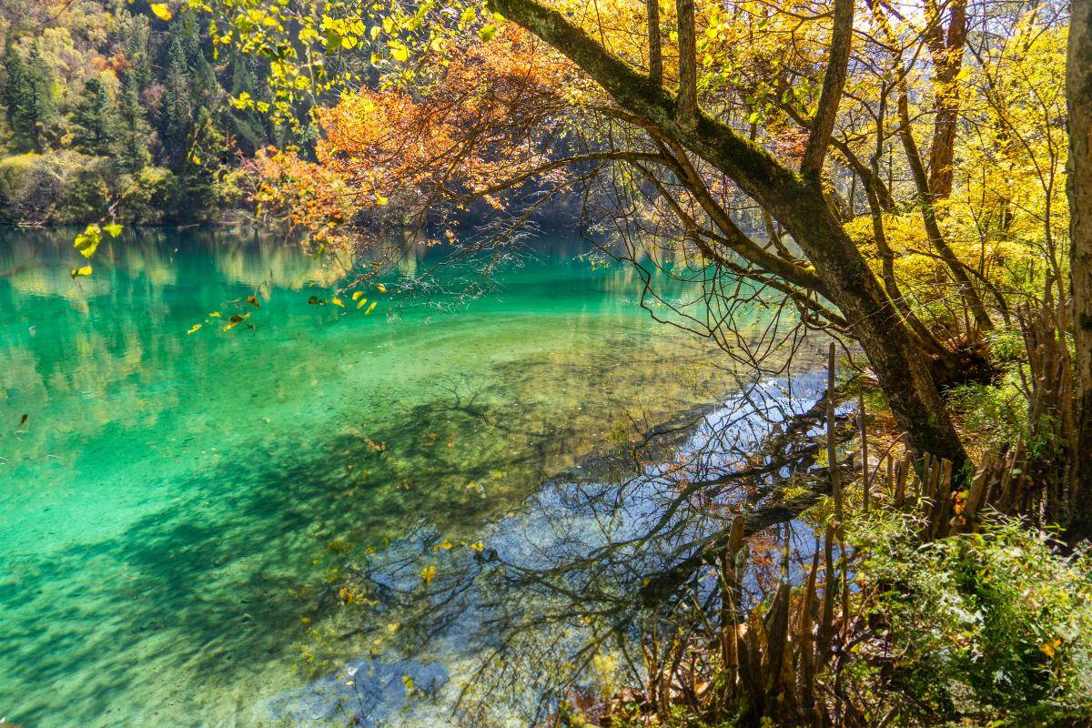 欧亚体育四川绵阳周边旅游四天攻略四川绵阳出发旅游4天多少钱(图2)