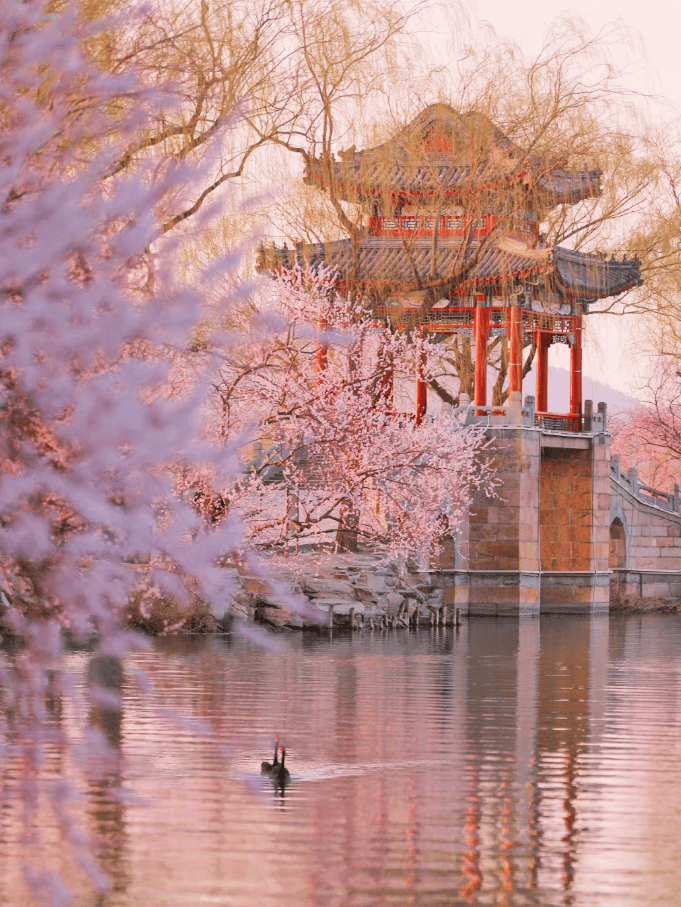 欧亚体育去北京旅游五天怎么玩？北京5天4晚保姆级实用攻略看完不踩坑！(图3)