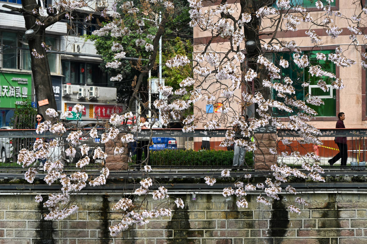 欧亚体育四川旅游攻略四天三晚超详细行程安排！四川成都旅游攻略推荐(图2)