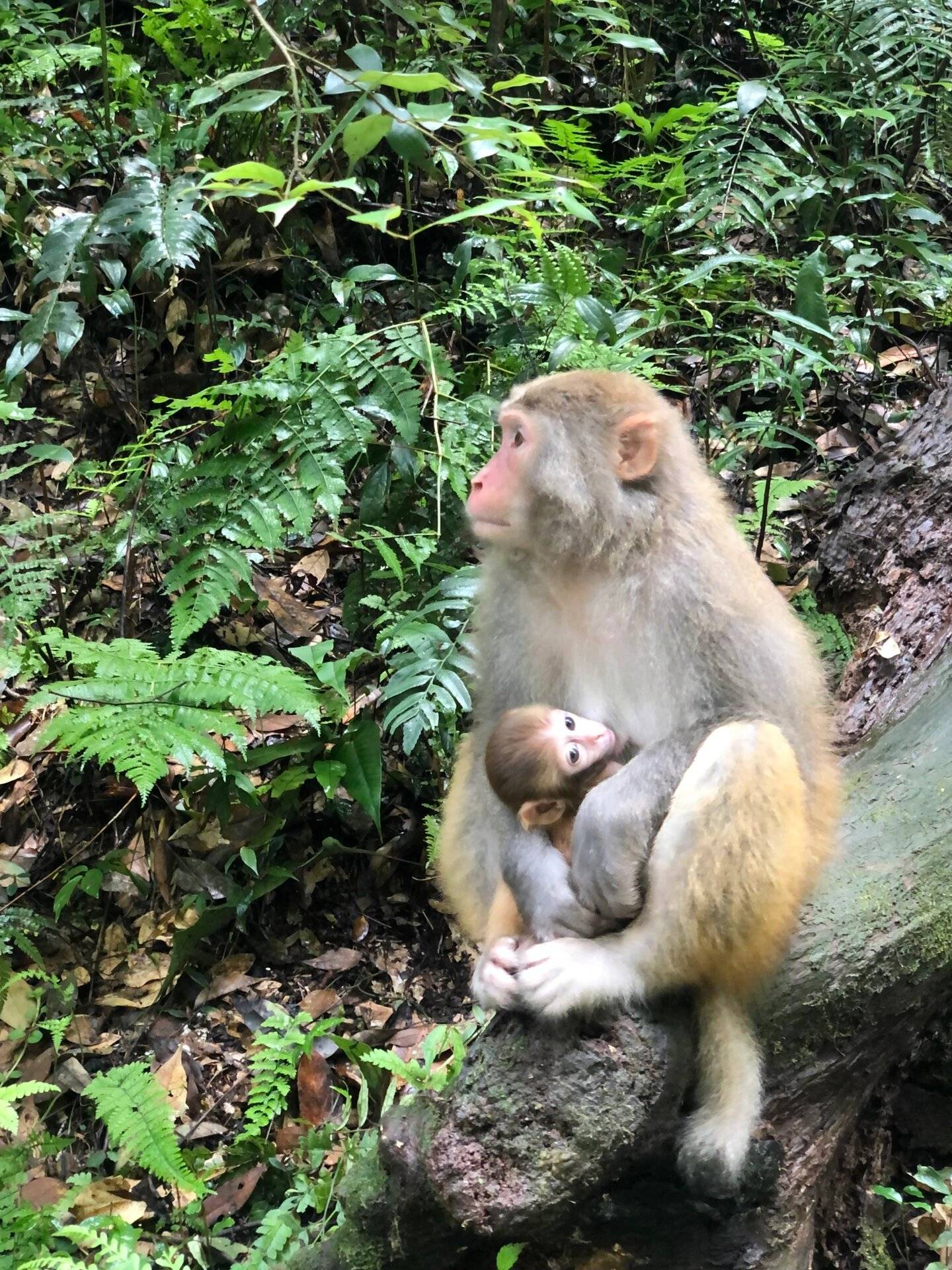 欧亚体育旺季去张家界旅游攻略路线 有打算去旅游的建议保存收藏(图2)