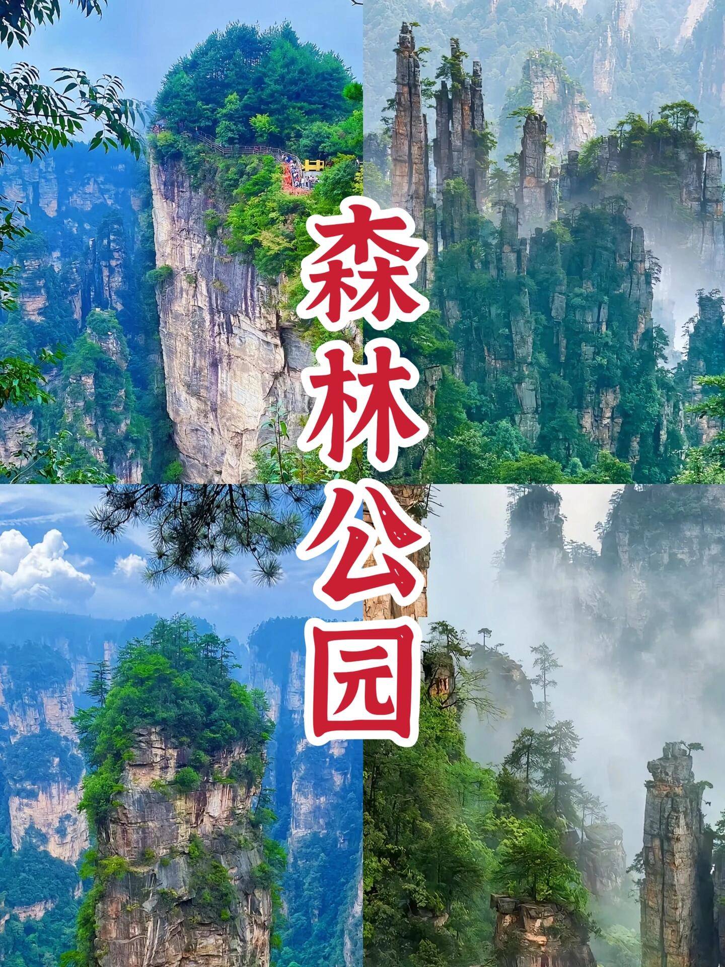 欧亚体育张家界领孩子旅游攻略 最佳线路大揭秘(图1)