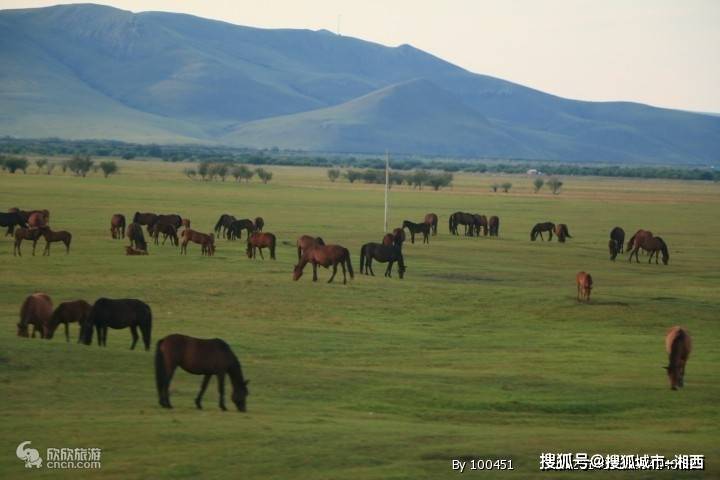 假期去内蒙旅欧亚体育游要花多少钱详细攻略畅游内蒙(图1)