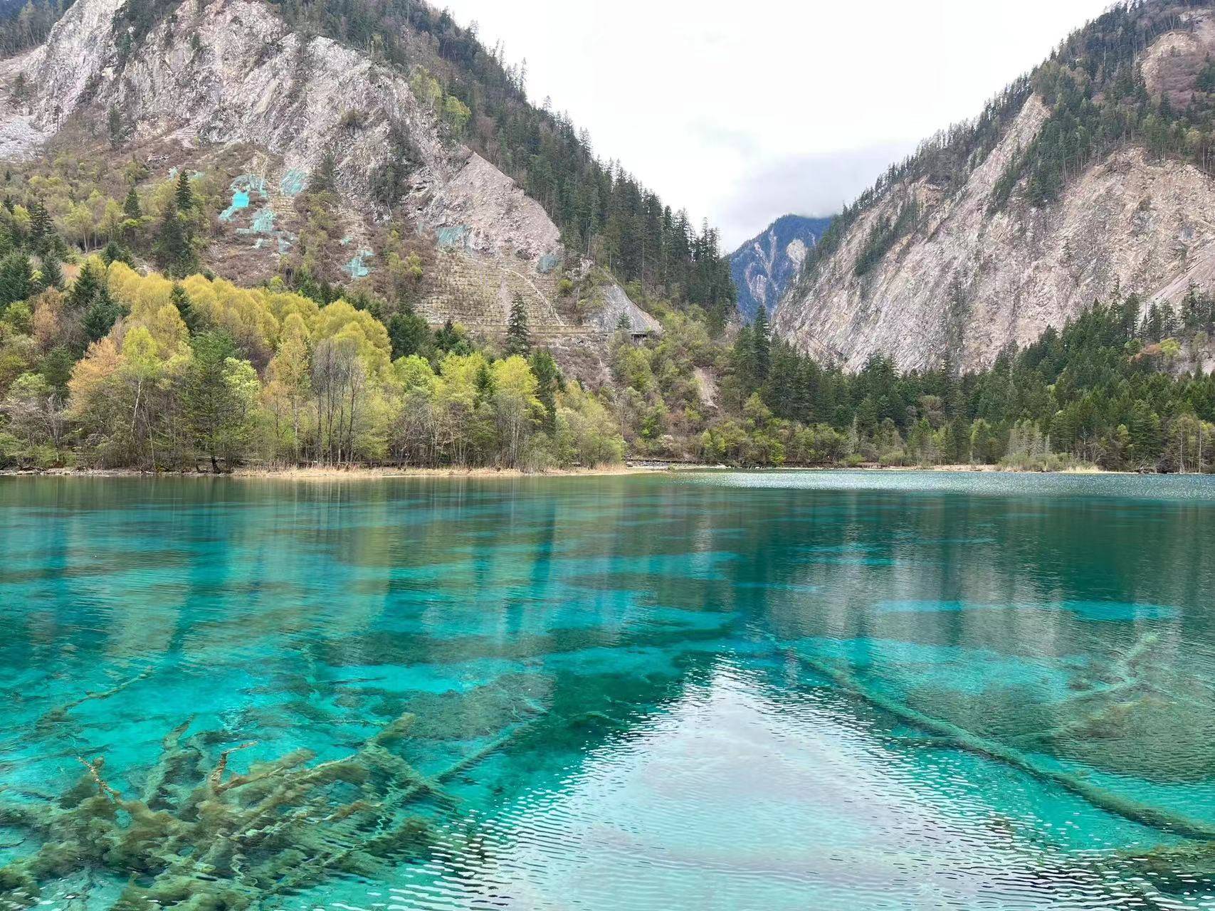 苏州到四川峨眉山旅游攻略路线 省时省力欧亚体育千万不要错过这篇(图3)